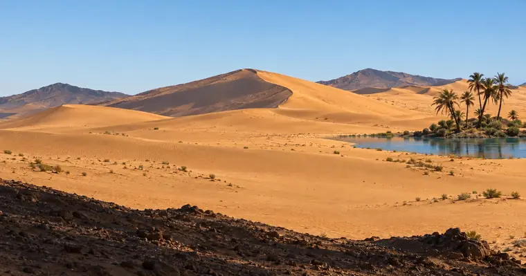 Les mêmes dunes et la même oasis, en photographie : image de 2026