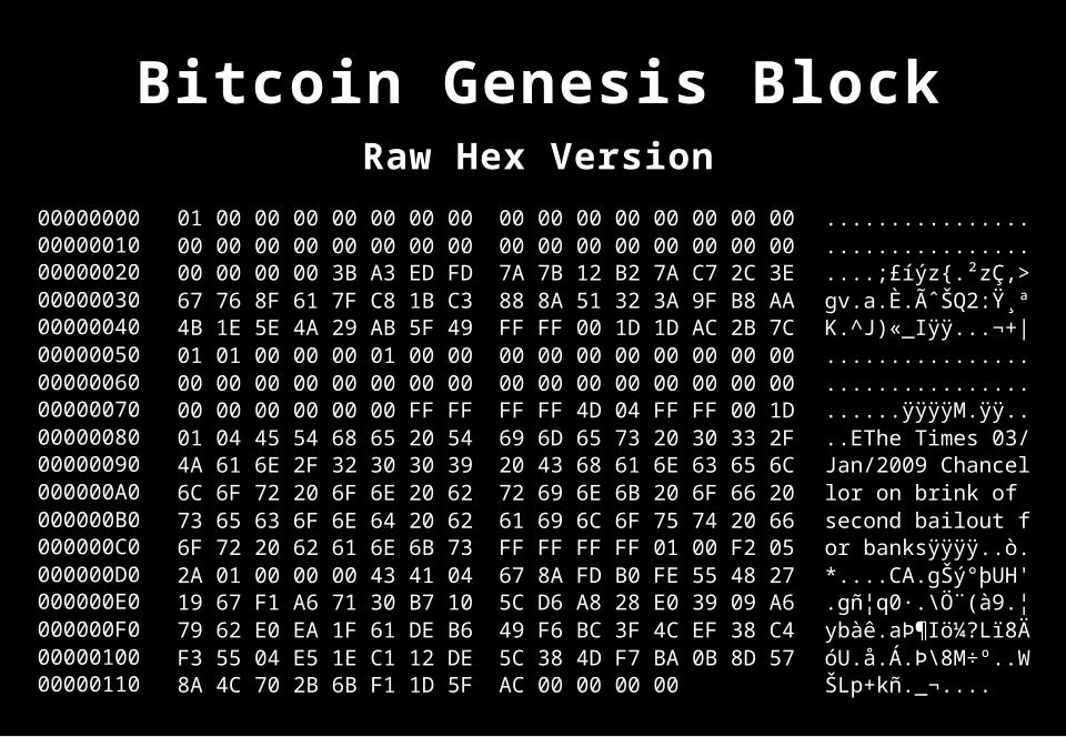 Le bloc genesis. 18h15. 3 janvier 2009.